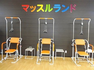 マルチホームトレーナー