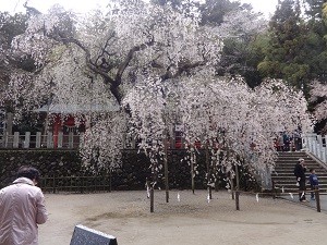 小川諏訪神社